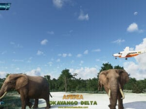 Okavango Delta for MSFS by SWS